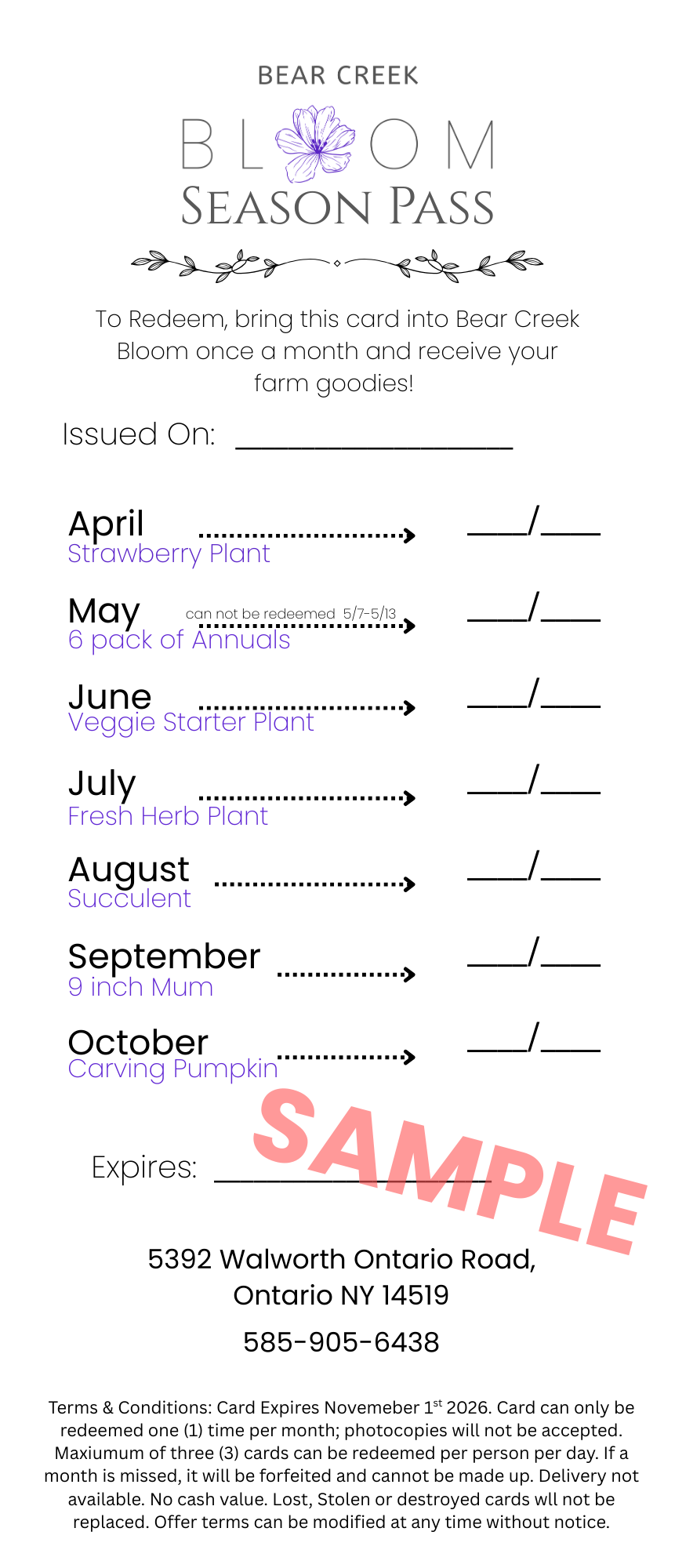 "Season Pass" - Monthly Punch Card ($75 Value)