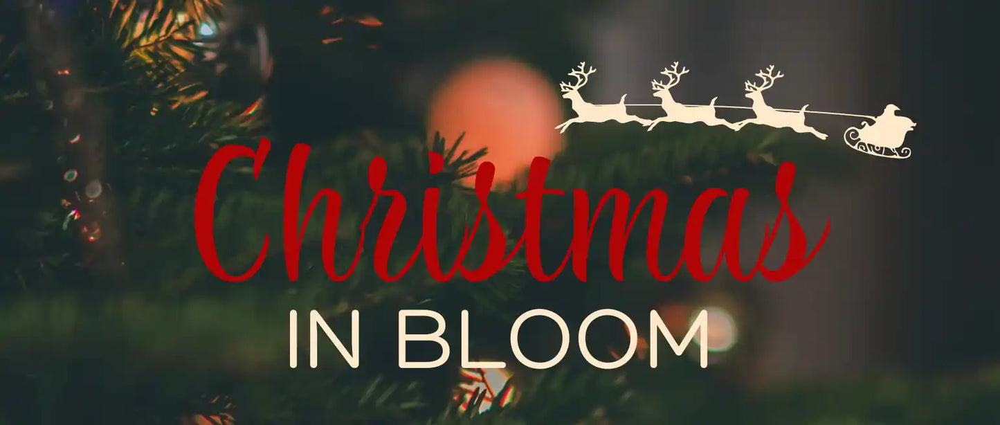 Christmas In Bloom Vendor Fee