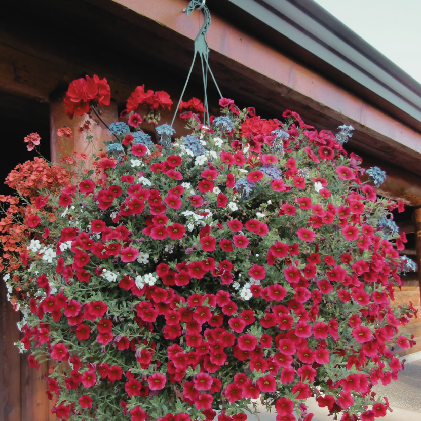 14 inch Combo Basket (SB)