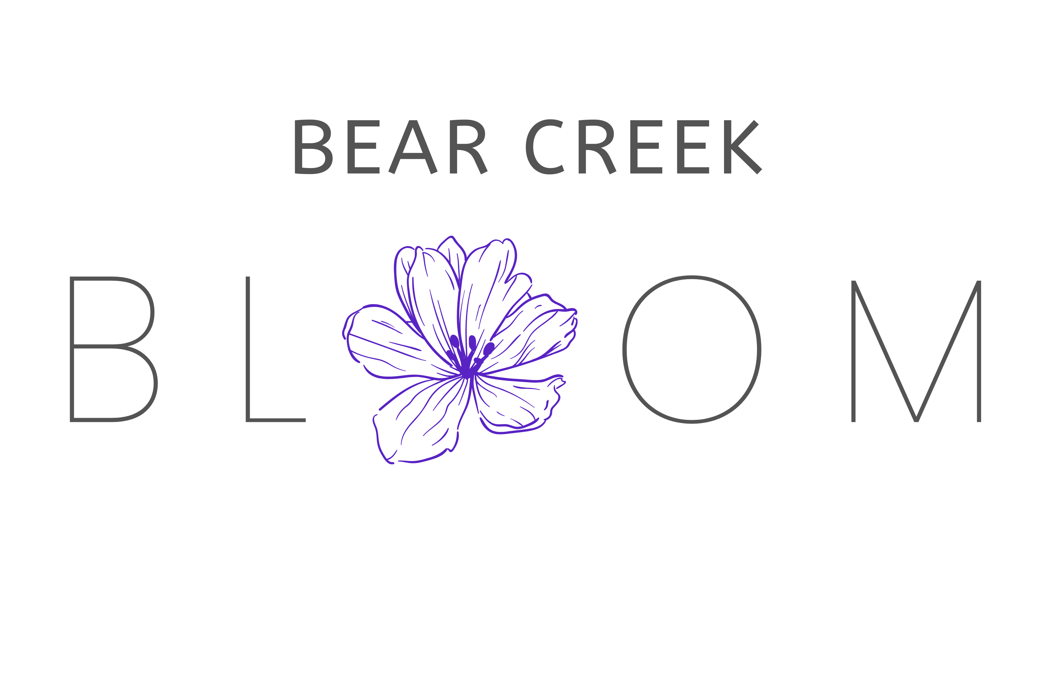 Bear Creek Bloom